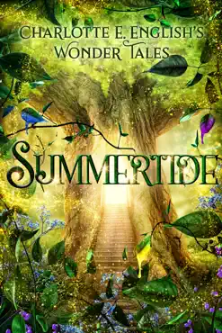 summertide book cover image