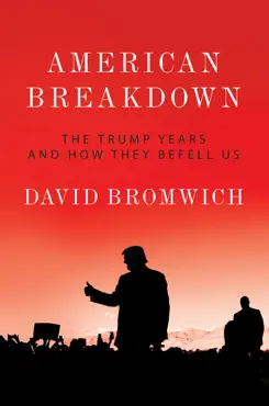 american breakdown book cover image