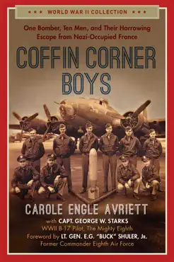 coffin corner boys book cover image