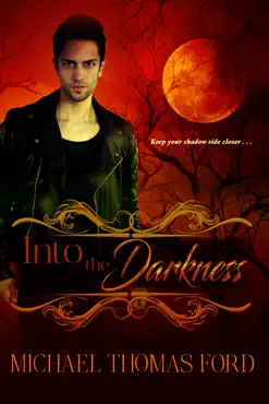 into the darkness book cover image