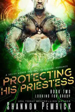protecting his priestess book cover image
