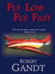 Fly Low Fly Fast synopsis, comments