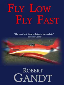 fly low fly fast book cover image