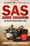 Sabre Squadron synopsis, comments