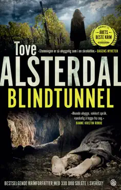 blindtunnel imagen de la portada del libro