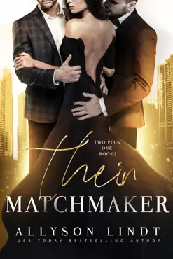 their matchmaker book cover image
