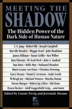 meeting the shadow book cover image