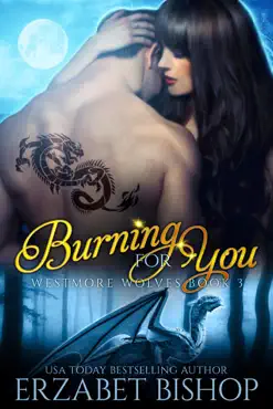 burning for you book cover image