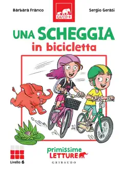 una scheggia in bicicletta book cover image