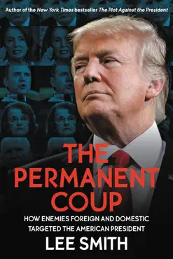 the permanent coup book cover image