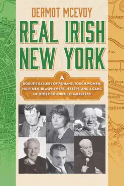 real irish new york book cover image