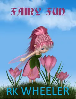 fairy fun book cover image