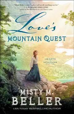 love's mountain quest book cover image