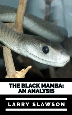 the black mamba book cover image