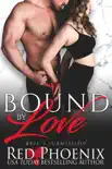 Bound by Love synopsis, comments