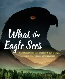 what the eagle sees book cover image