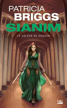 le voleur de dragon book cover image