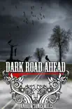 Dark Road Ahead synopsis, comments