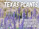 Texas Plants reviews