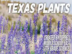 texas plants book cover image