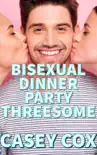 Bisexual Dinner Party Threesome synopsis, comments