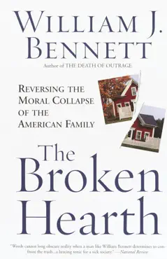 the broken hearth book cover image