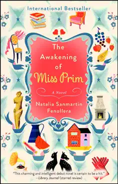 the awakening of miss prim book cover image