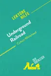 Underground Railroad von Colson Whitehead (Lektürehilfe) sinopsis y comentarios