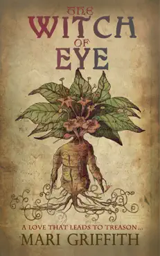 the witch of eye book cover image