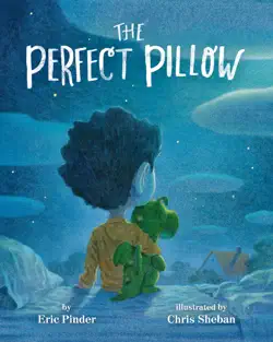 the perfect pillow book cover image