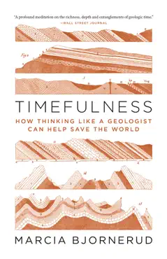 timefulness book cover image