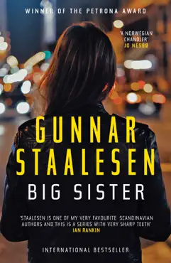 big sister book cover image