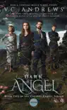 Dark Angel synopsis, comments