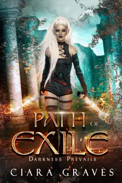 path of exile book cover image