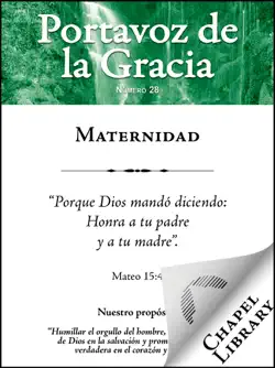 maternidad book cover image