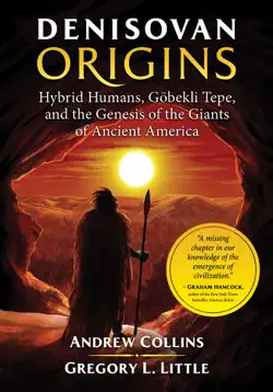 denisovan origins book cover image
