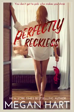 perfectly reckless book cover image