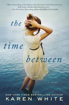 the time between book cover image