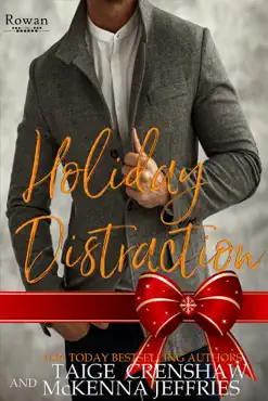 holiday distraction book cover image