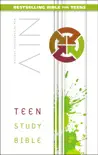 NIV, Teen Study Bible synopsis, comments