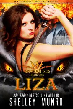 liza book cover image