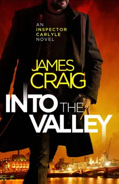 into the valley book cover image
