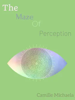 the maze of perception book cover image