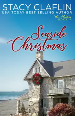 seaside christmas book cover image