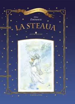 la steaua book cover image