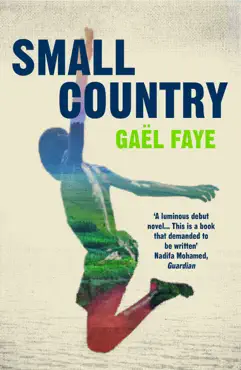 small country imagen de la portada del libro