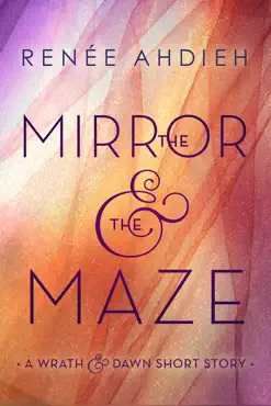 the mirror & the maze book cover image
