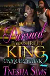 Pursued By A Street King 2 e-book