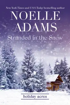 stranded in the snow imagen de la portada del libro