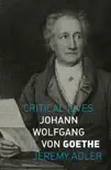 Johann Wolfgang von Goethe sinopsis y comentarios